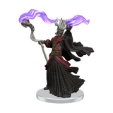 D&D: Icons of the Realms - Tomb of Annihilation – Box 1