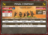 Flames of War: Bagration - Soviet Unit Cards